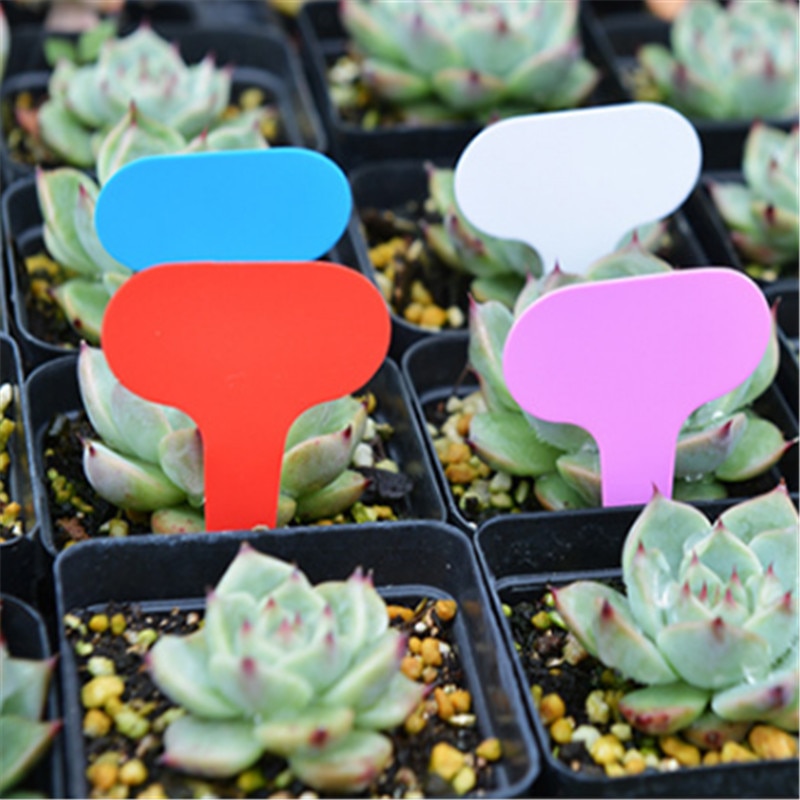 Simple Plastic Plant Labels (50 pcs) Garden Wizard Shop