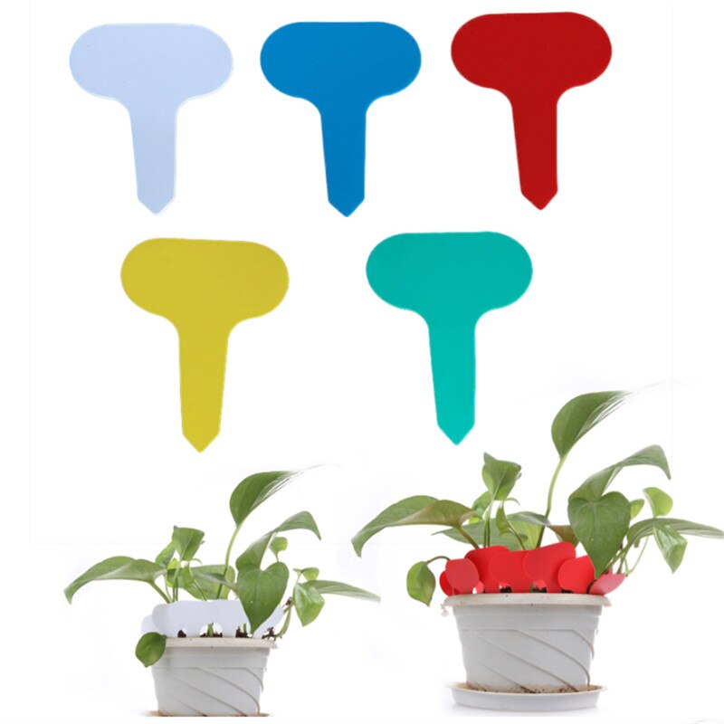 Simple Plastic Plant Labels (50 pcs) Garden Wizard Shop