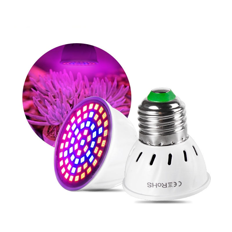 LB0302013 Spectrum Style Diamond Halogen light bulb 