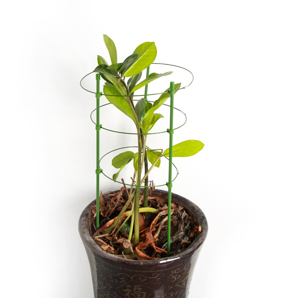 45/60cm Durable Creative Vine Climbing Rack Flower Decorative Vegetables Plant Trellis Plant Support Frame Gardening Tools 45/60cm Durable Creative Vine Climbing Rack Flower Decorative Vegetables Plant Trellis Plant Support Frame Gardening Tools