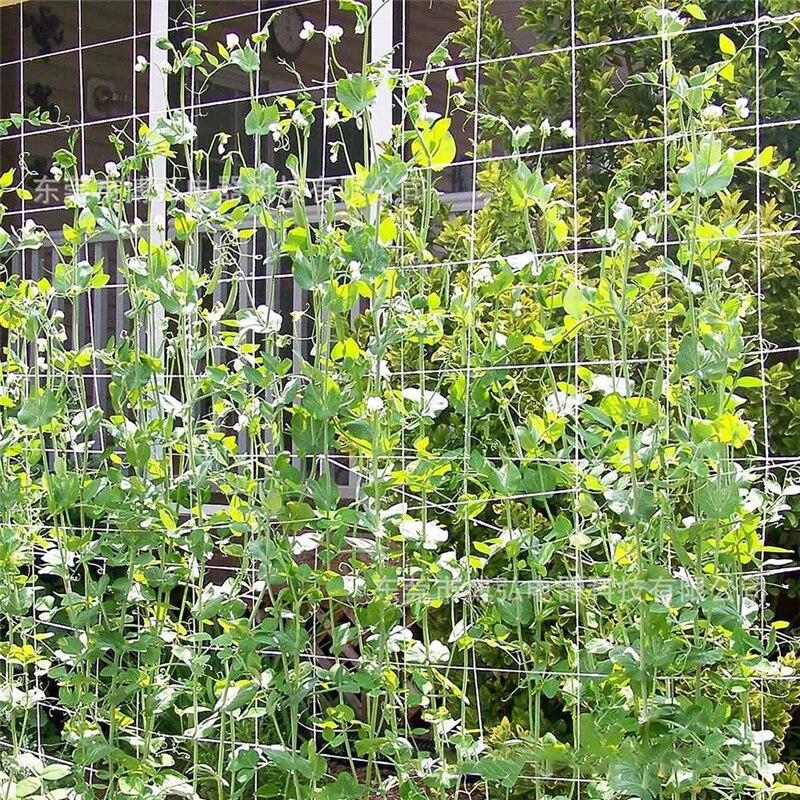 Plant Climbing Net Mesh Loofah Netting For Morning Glory Vine Flowers Garden Plants Climbing Net Cucumber Vine Grow Holder Plant Climbing Net Mesh Loofah Netting For Morning Glory Vine Flowers Garden Plants Climbing Net Cucumber Vine Grow Holder