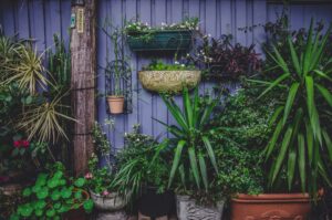 A wall with vertical gardening