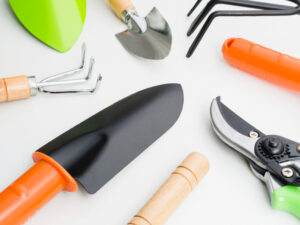 Gardening tools on a white surface.