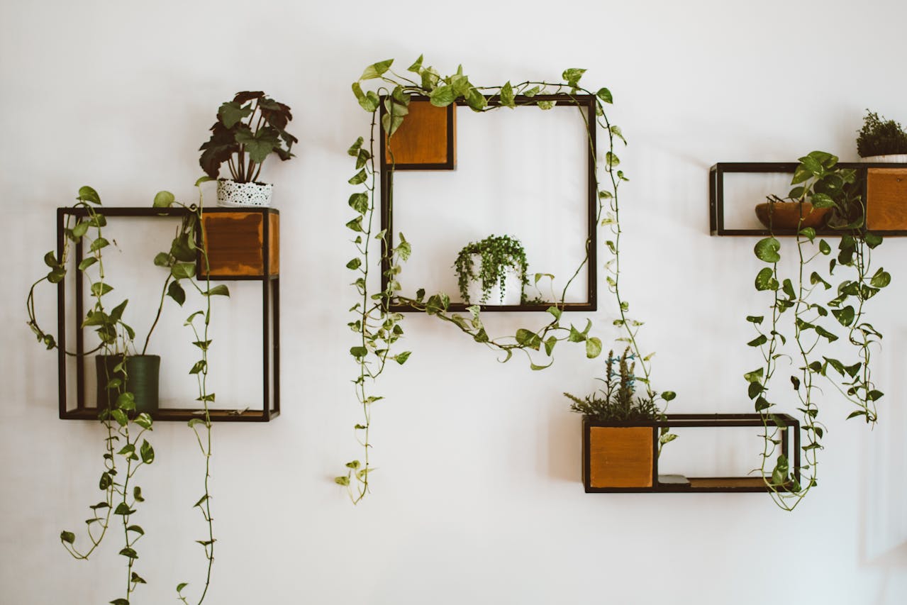 Curated visual reference: Picture Idea: Top 7 Vertical Gardening Ideas For Small Spaces