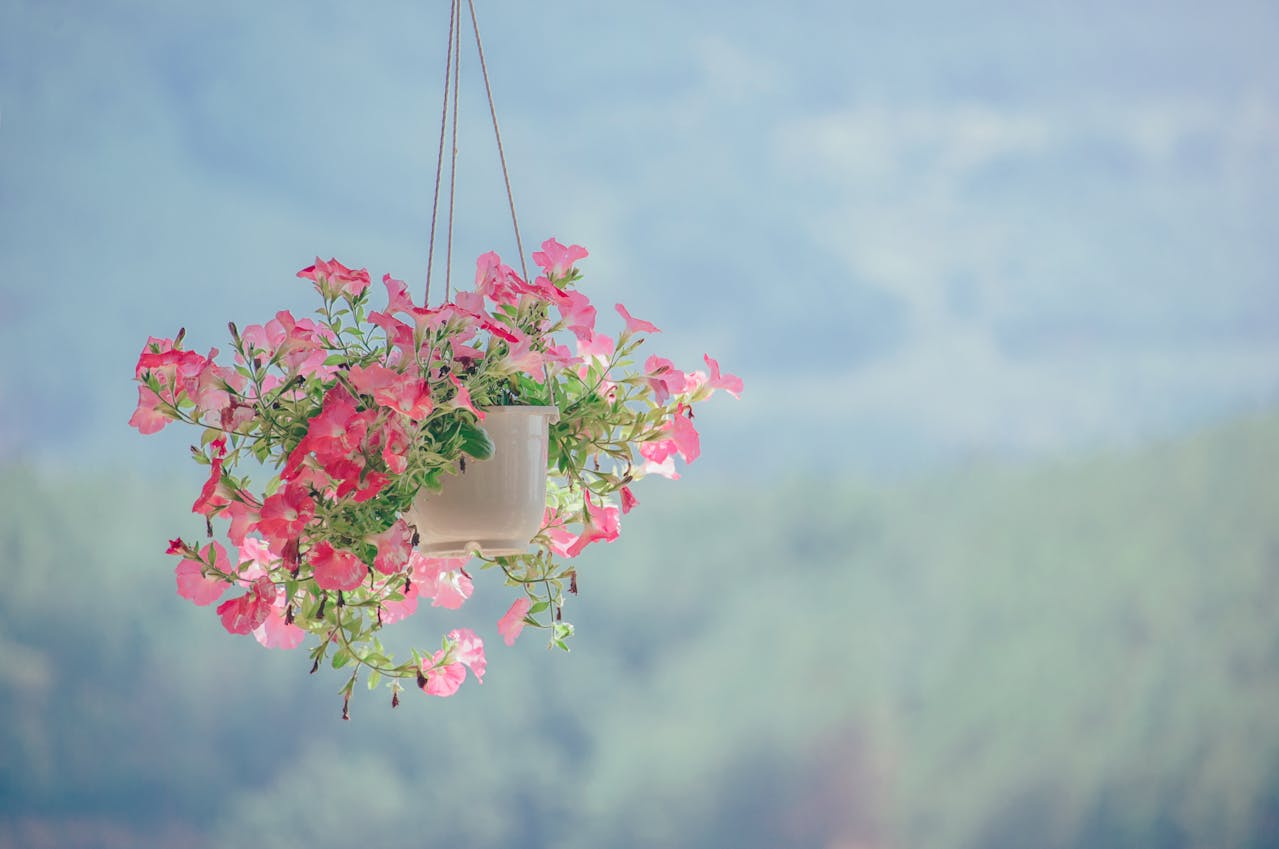 View of Top 7 Vertical Gardening Ideas for Small Spaces - Garden Wizard Shop